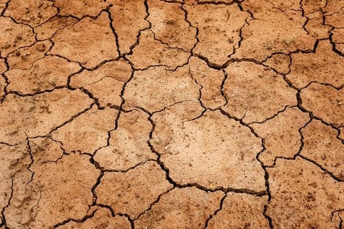 Trockenheit vor Ort