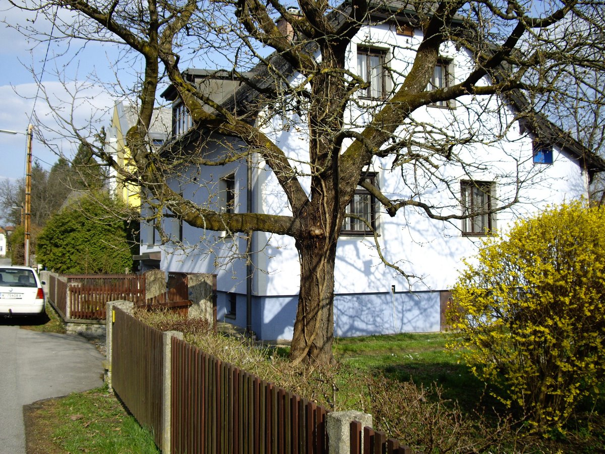 stabilisierung-fundament-haus-graz_01