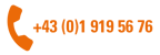 +43 (0)1 919 56 76