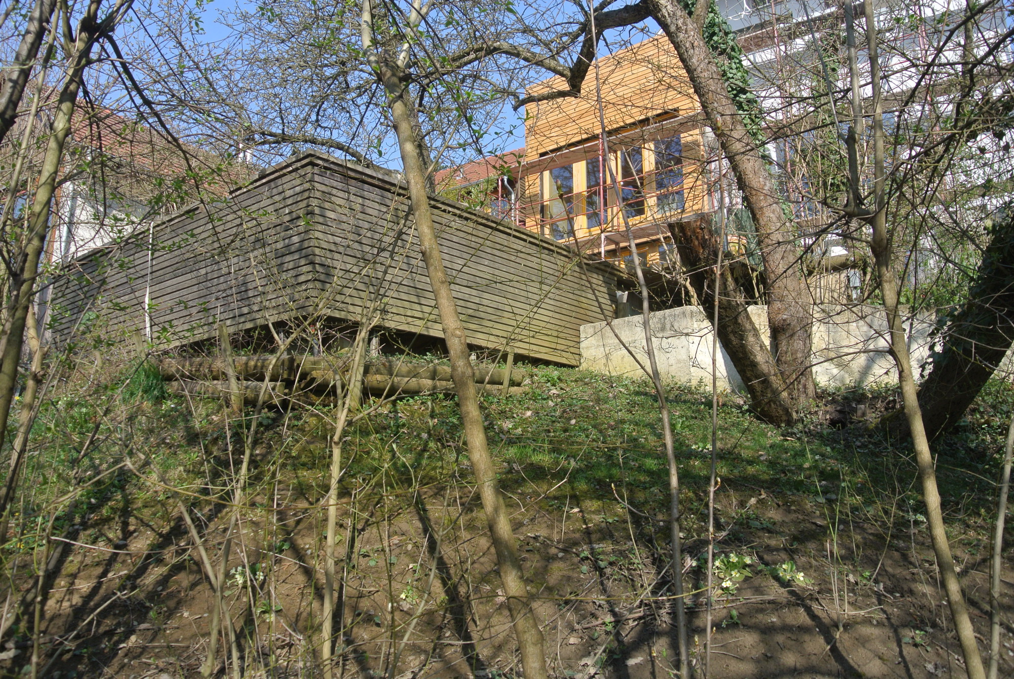 anhebung-schwimmbecken-purkersdorf_05