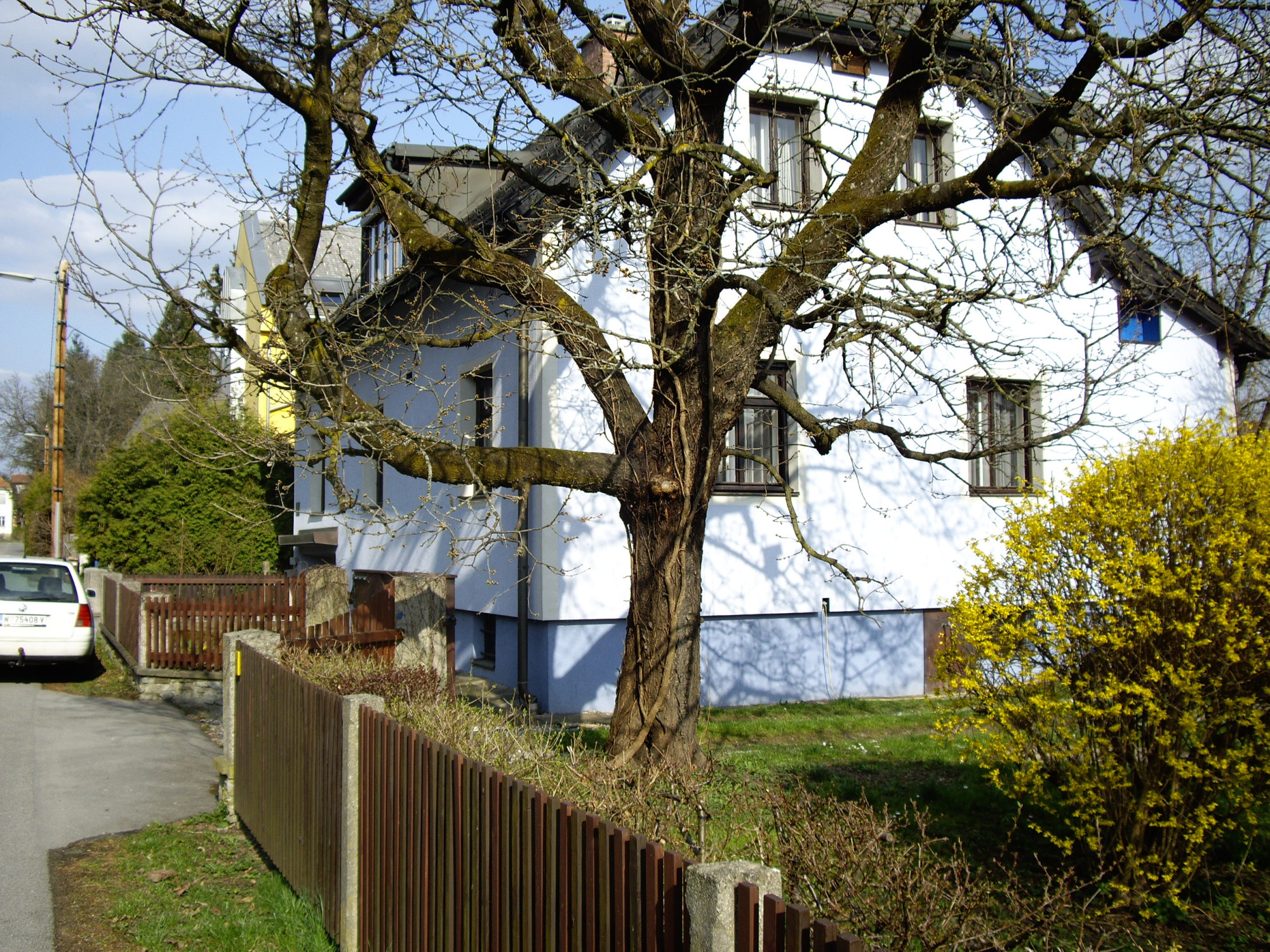 stabilisierung-fundament-haus-graz_01