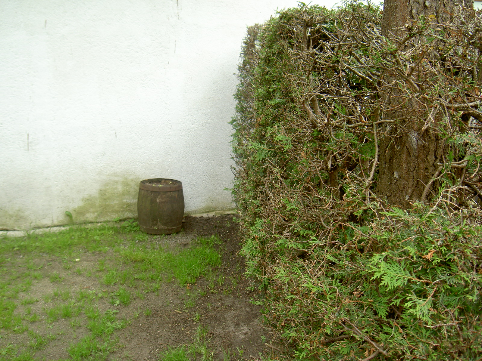 stabilisierung-garage-kremsbruecke_04
