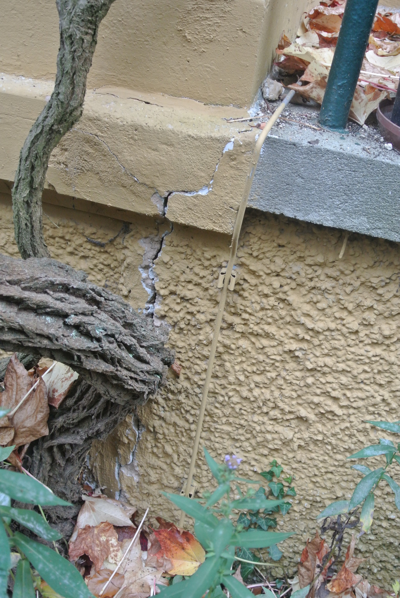 stabilisierung-streifenfundamente-villa-ried-innkreis_06